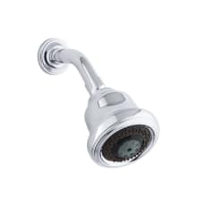 Traditional Multi-Function Showerhead with Arm