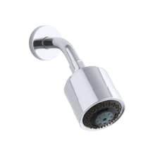 Contemporary Multi-Function Showerhead with Arm