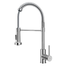 Loxton 1.8 GPM Single Hole Kitchen Faucet