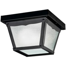 Single-Bulb Flush Mount Outdoor Ceiling Fixture