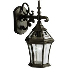 Townhouse Collection 1 Light 15" Outdoor Wall Light