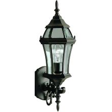 Townhouse Collection 1 Light 22" Outdoor Wall Light