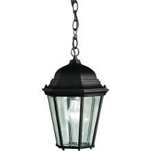 Madison Single Light 14" Tall Outdoor Lantern Pendant