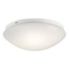 1 Light 10.75" Wide LED Flush Mount Ceiling Fixture