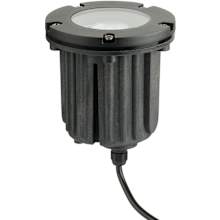 Single 5" Wide 12V In-Ground Well Light