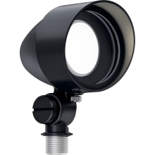 10 Watt Accent Landscape LED Kit