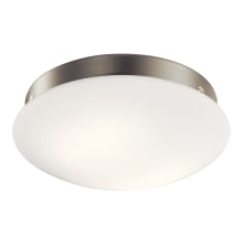 Ried Dimmable LED Light Kit with Etched Cased Opal Glass Shade
