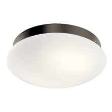 Ried Dimmable LED Light Kit with Etched Cased Opal Glass Shade