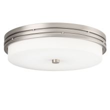 Ceiling Space 14" LED Ceiling Light
