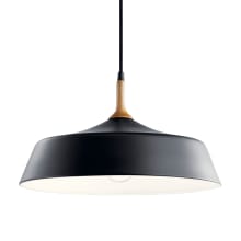 Danika Single Light 16" Wide Pendant with Wood Accent