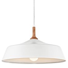 Danika Single Light 16" Wide Pendant with Wood Accent