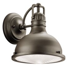 Hatteras Bay Collection 1 Light 10" Outdoor Wall Light