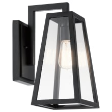Delison 14" Tall Outdoor Wall Sconce