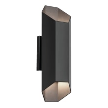 Estella 17" Tall LED Outdoor Wall Sconce