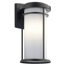 Toman Single Light 20" Tall LED Outdoor Wall Sconce with a Satin Etched Shade