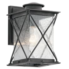 Argyle Single Light 10" Tall LED Outdoor Wall Sconce with Clear Seeded Glass Shade