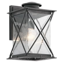 Argyle Single Light 15" Tall LED Outdoor Wall Sconce with Clear Seeded Glass Shade