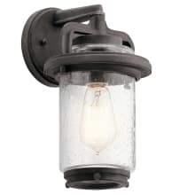 Andover Single Light 11-1/2" Tall Outdoor Wall Sconce