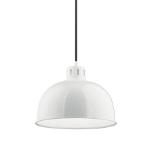 Zailey Single Light 12" Wide Pendant