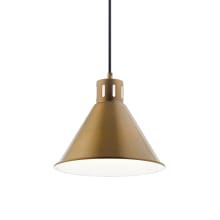 Zailey 11" Wide Single Pendant with Metal Shade