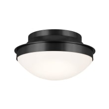 Bretta 2 Light 14" Wide Flush Mount Bowl Ceiling Fixture with Frosted Glass Shade