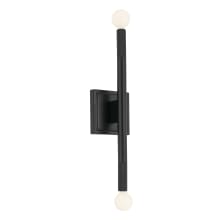 Odensa 17" Tall Wall Sconce