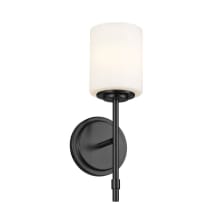 Ali 15" Tall Bathroom Sconce with Frosted Glass Shade