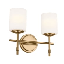 Ali 2 Light 14" Wide Vanity Light with Frosted Glass Shades