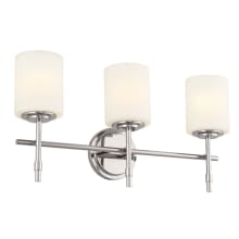 Ali 3 Light 23" Wide Vanity Light with Frosted Glass Shades