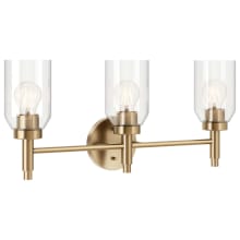 Madden 3 Light 24" Wide Vanity Light