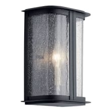 Timmin 10" Tall Wall Light with Clear Seeded Glass