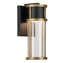 Camillo 12" Tall LED Wall Sconce with Seedy Glass Shade