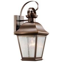 Mount Vernon Single Light 17" Tall Outdoor Wall Sconce with Seedy Glass Panels