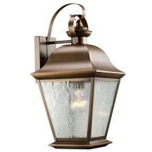 Mount Vernon Single Light 20" Tall Outdoor Wall Sconce with Seedy Glass Panels
