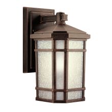 Cameron Collection 1 Light 11" Outdoor Wall Light