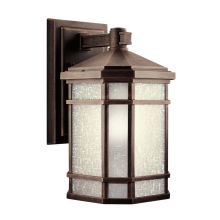 Cameron Collection 1 Light 14" Outdoor Wall Light