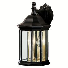 Chesapeake 14" Satin Glass Outdoor Wall Sconce
