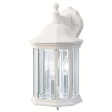 Chesapeake 14" Satin Glass Outdoor Wall Sconce