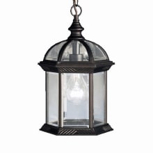 Barrie 14" LED Outdoor Pendant with Beveled Glass Panels