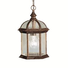 Barrie Single Light 14" Outdoor Lantern Pendant with Beveled Glass Panels