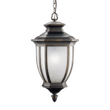 1 Light Outdoor Pendant from the Salisbury Collection