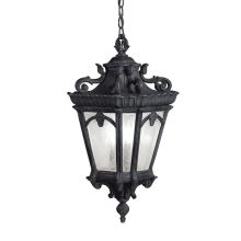 Tournai 25" Tall 3 Light Outdoor Lantern Pendant