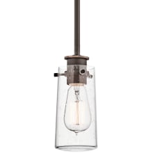 Braelyn Single Light 9" Mini Pendant with Seeded Glass Shade
