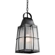 Single Light Outdoor Pendant from the Tolerand Collection
