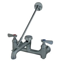 Wall Mounted Double Handle Food Service Faucet with Acrylic Handles, Vacuum Breaker, Pail Hook, and Wall Support