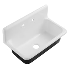 Petra Galley 36" x 20" Cast Iron Wall Mount Utility Sink