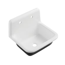 Petra Galley 22" x 18" Cast Iron Wall Mount Utility Sink