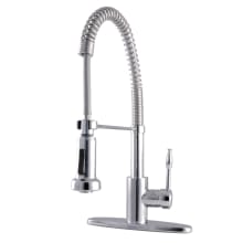 Nustudio 1.8 GPM Single Hole Pre-Rinse Pull Down Kitchen Faucet