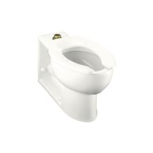Elongated Comfort Height Toilet Bowl Only from the Anglesey Collection