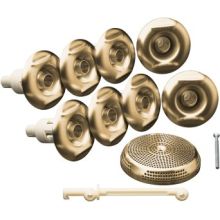 Eight Jet Trim Kit for Flexjet Whirlpools